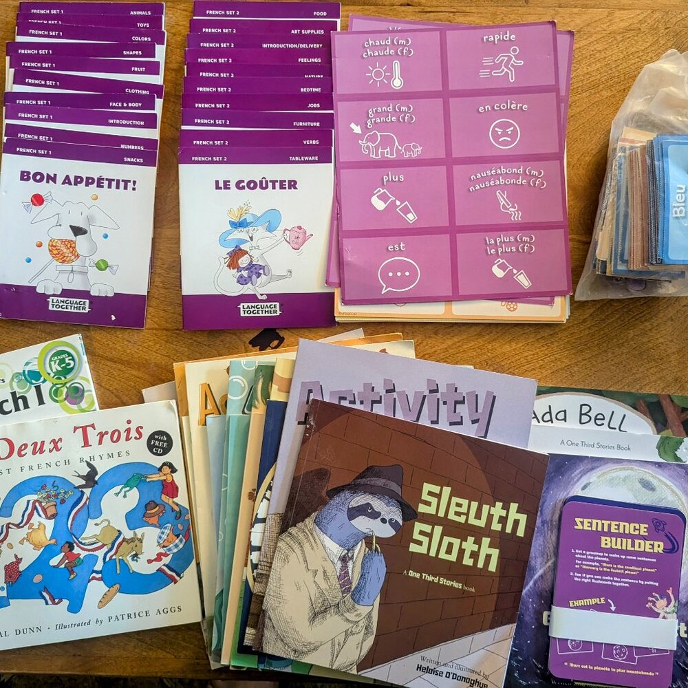 Indro to French Kids Book Lot